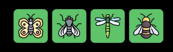FLIES Daily Combo 21 March 2025